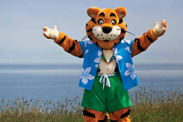 Touring and Camping Offers